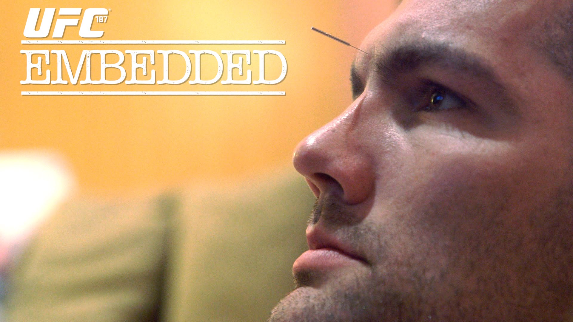 UFC 187 Embedded: Vlog Series Episode 3 | Perfecting Athletes LLC