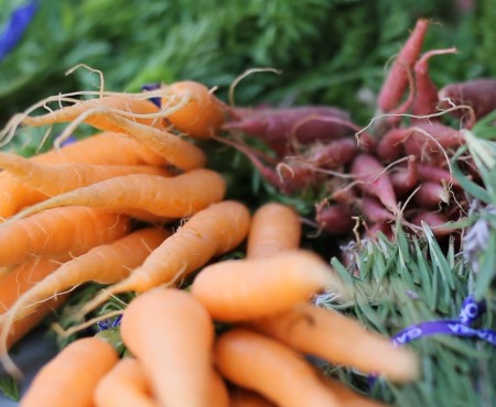 Nutrition Part 2 with Hope361