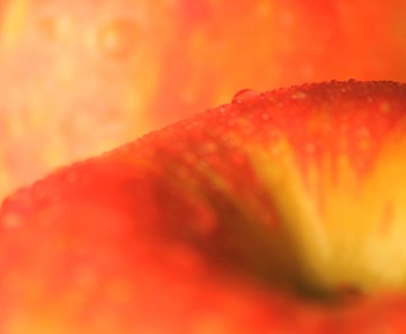 Nutrition Part 3 with Hope361